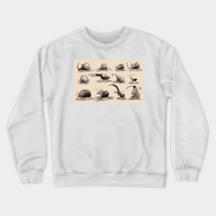 Coleopteros Crewneck Sweatshirt